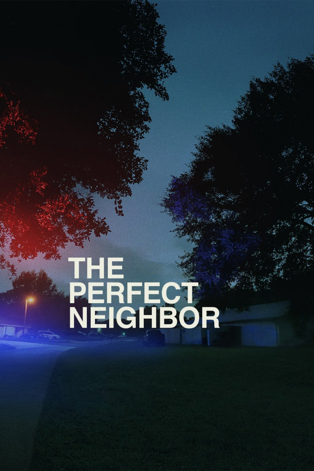 Người Hàng Xóm Hoàn Hảo - The Perfect Neighbor