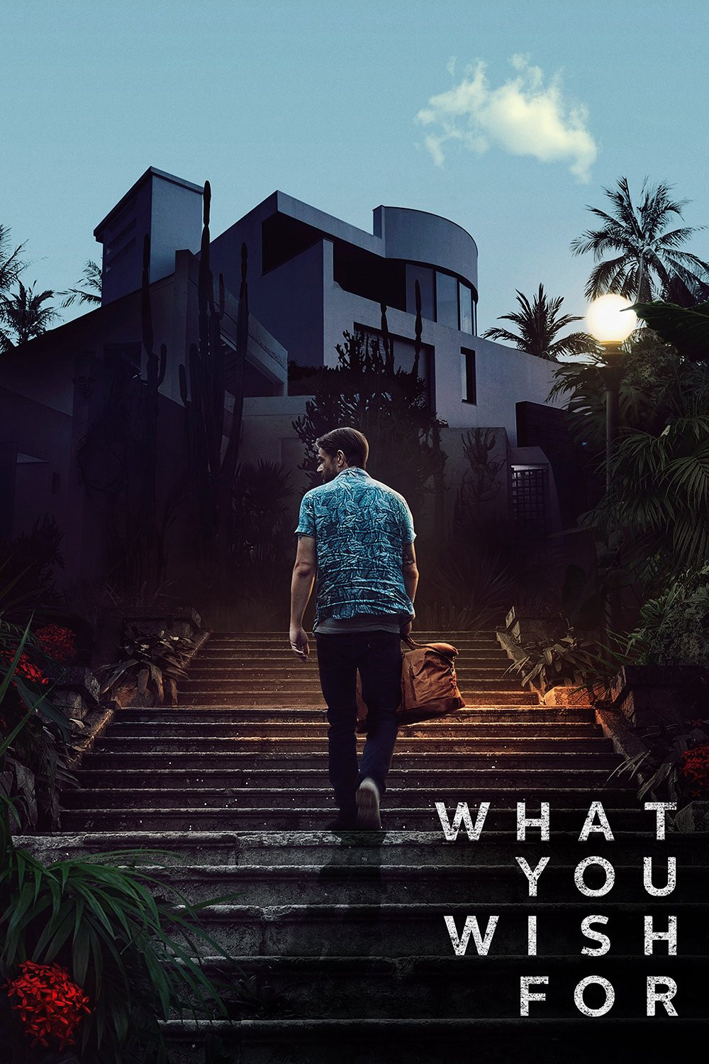 What You Wish For - What You Wish For